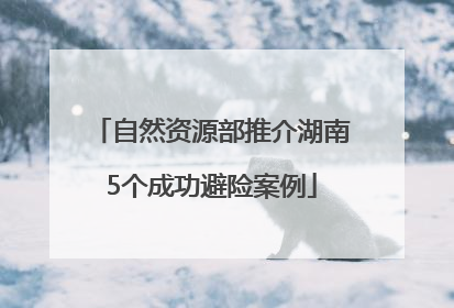 自然资源部推介湖南5个成功避险案例