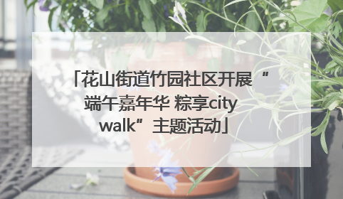 花山街道竹园社区开展“端午嘉年华 粽享city walk”主题活动
