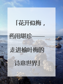 花开似梅，药用堪珍——走进榆叶梅的诗意世界