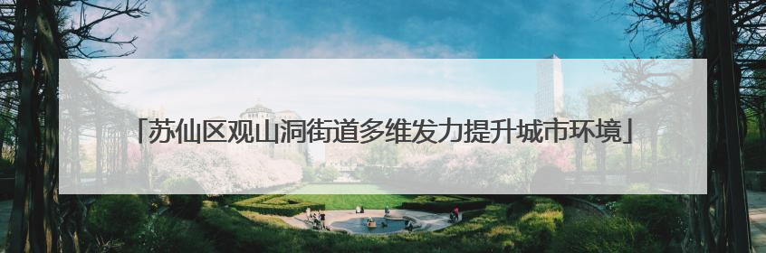 苏仙区观山洞街道多维发力提升城市环境