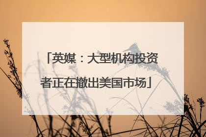 英媒：大型机构投资者正在撤出美国市场
