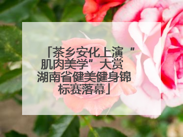 茶乡安化上演“肌肉美学”大赏 湖南省健美健身锦标赛落幕
