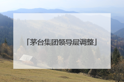 茅台集团领导层调整