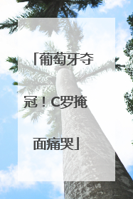 葡萄牙夺冠！C罗掩面痛哭