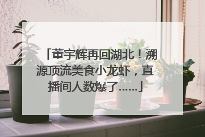 董宇辉再回湖北！溯源顶流美食小龙虾，直播间人数爆了……