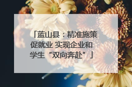 蓝山县：精准施策促就业 实现企业和学生“双向奔赴”