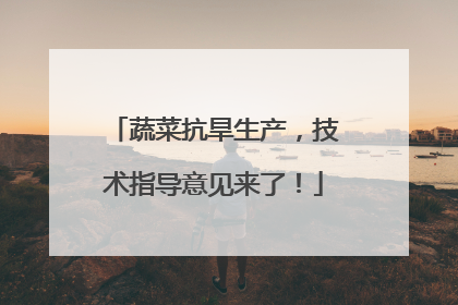 蔬菜抗旱生产，技术指导意见来了！