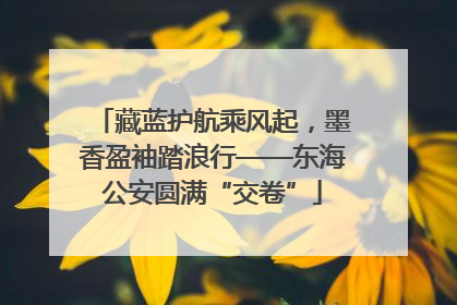 藏蓝护航乘风起，墨香盈袖踏浪行——东海公安圆满“交卷”
