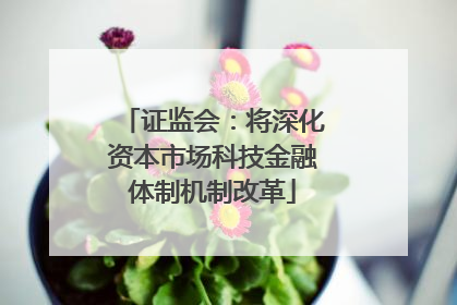 证监会：将深化资本市场科技金融体制机制改革