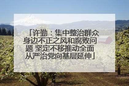 许勤：集中整治群众身边不正之风和腐败问题 坚定不移推动全面从严治党向基层延伸