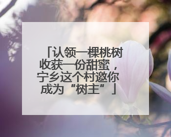 认领一棵桃树收获一份甜蜜，宁乡这个村邀你成为“树主”