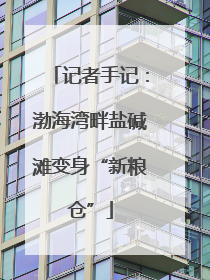 记者手记：渤海湾畔盐碱滩变身“新粮仓”