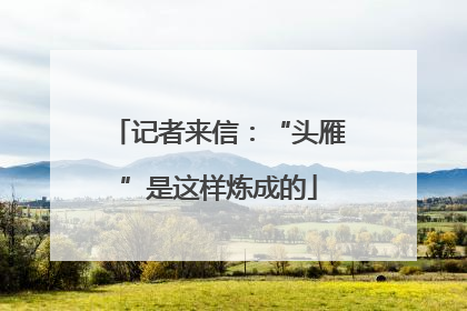 记者来信：“头雁”是这样炼成的