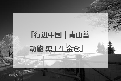 行进中国｜青山蓄动能 黑土生金仓