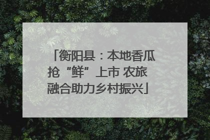衡阳县：本地香瓜抢“鲜”上市 农旅融合助力乡村振兴