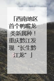 西南地区首个鸭嘴龙类新属种！重庆黔江发现“长生黔江龙”