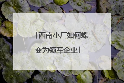 西南小厂如何蝶变为领军企业