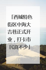西城特色街区中海大吉巷正式开业，打卡市民真不少