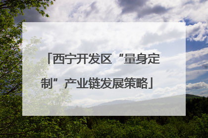 西宁开发区“量身定制”产业链发展策略