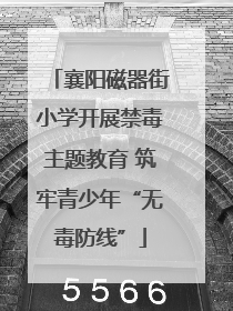 襄阳磁器街小学开展禁毒主题教育 筑牢青少年“无毒防线”