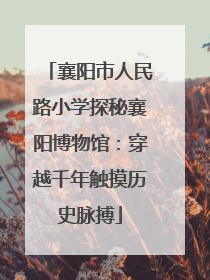 襄阳市人民路小学探秘襄阳博物馆：穿越千年触摸历史脉搏
