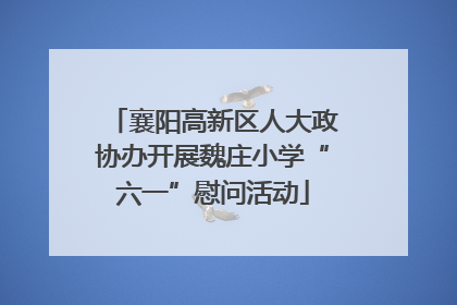 襄阳高新区人大政协办开展魏庄小学“六一”慰问活动