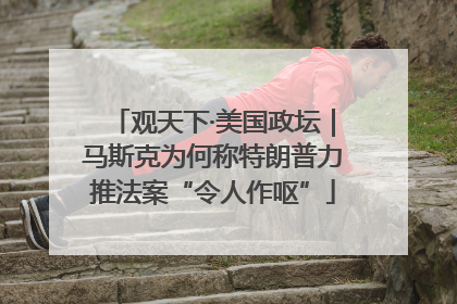 观天下·美国政坛｜马斯克为何称特朗普力推法案“令人作呕”
