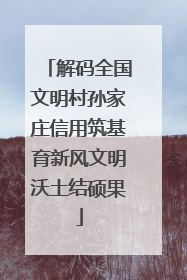 解码全国文明村孙家庄信用筑基育新风文明沃土结硕果
