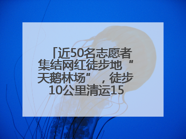 近50名志愿者集结网红徒步地“天鹅林场”，徒步10公里清运150余斤山野垃圾