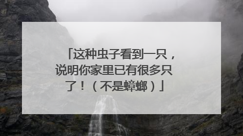 这种虫子看到一只，说明你家里已有很多只了！（不是蟑螂）