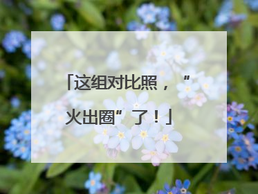这组对比照，“火出圈”了！