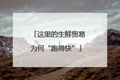 这里的生鲜贸易为何“跑得快”