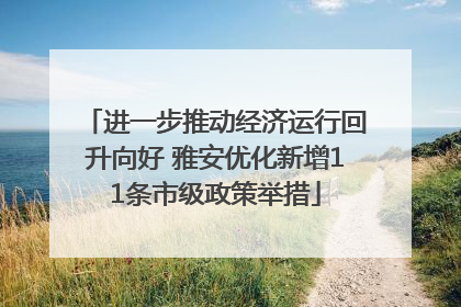 进一步推动经济运行回升向好 雅安优化新增11条市级政策举措
