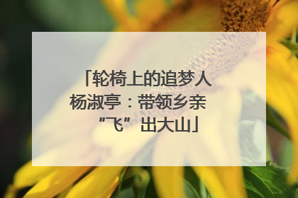 轮椅上的追梦人杨淑亭：带领乡亲“飞”出大山