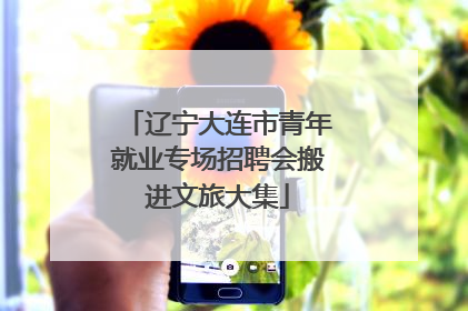 辽宁大连市青年就业专场招聘会搬进文旅大集