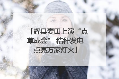 辉县麦田上演“点草成金” 秸秆发电点亮万家灯火