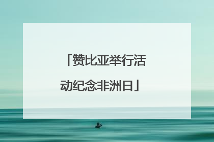 赞比亚举行活动纪念非洲日