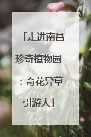 走进南昌珍奇植物园：奇花异草引游人