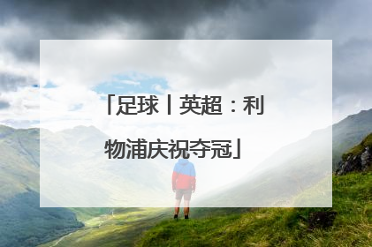 足球丨英超：利物浦庆祝夺冠