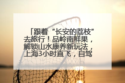 跟着“长安的荔枝”去旅行！品岭南鲜果，解锁山水康养新玩法，上海3小时直飞，自驾高速费优惠