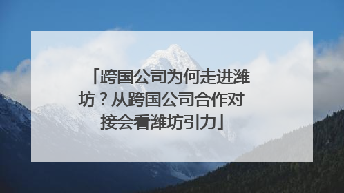 跨国公司为何走进潍坊？从跨国公司合作对接会看潍坊引力