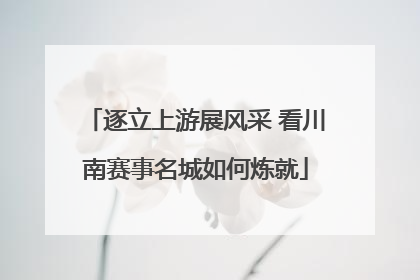 逐立上游展风采 看川南赛事名城如何炼就