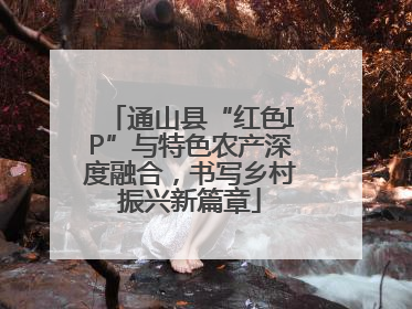 通山县“红色IP”与特色农产深度融合，书写乡村振兴新篇章