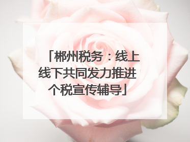 郴州税务：线上线下共同发力推进个税宣传辅导