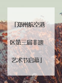 郑州航空港区第三届非遗艺术节启幕