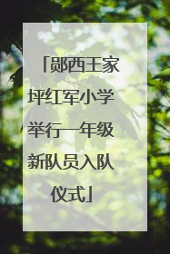 郧西王家坪红军小学举行一年级新队员入队仪式