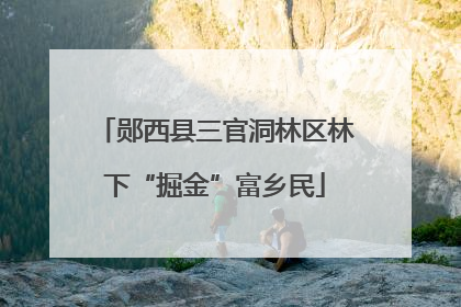 郧西县三官洞林区林下“掘金”富乡民