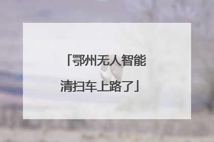鄂州无人智能清扫车上路了