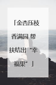 金杏压枝香满园 帮扶结出“幸福果”