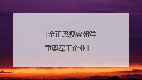 金正恩视察朝鲜重要军工企业
